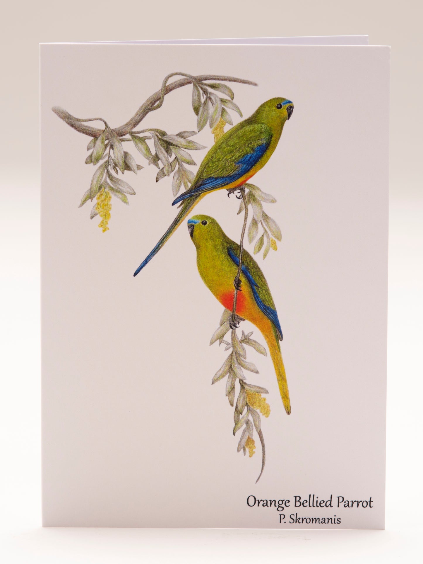 Greeting Card - Orange Bellied Parrot