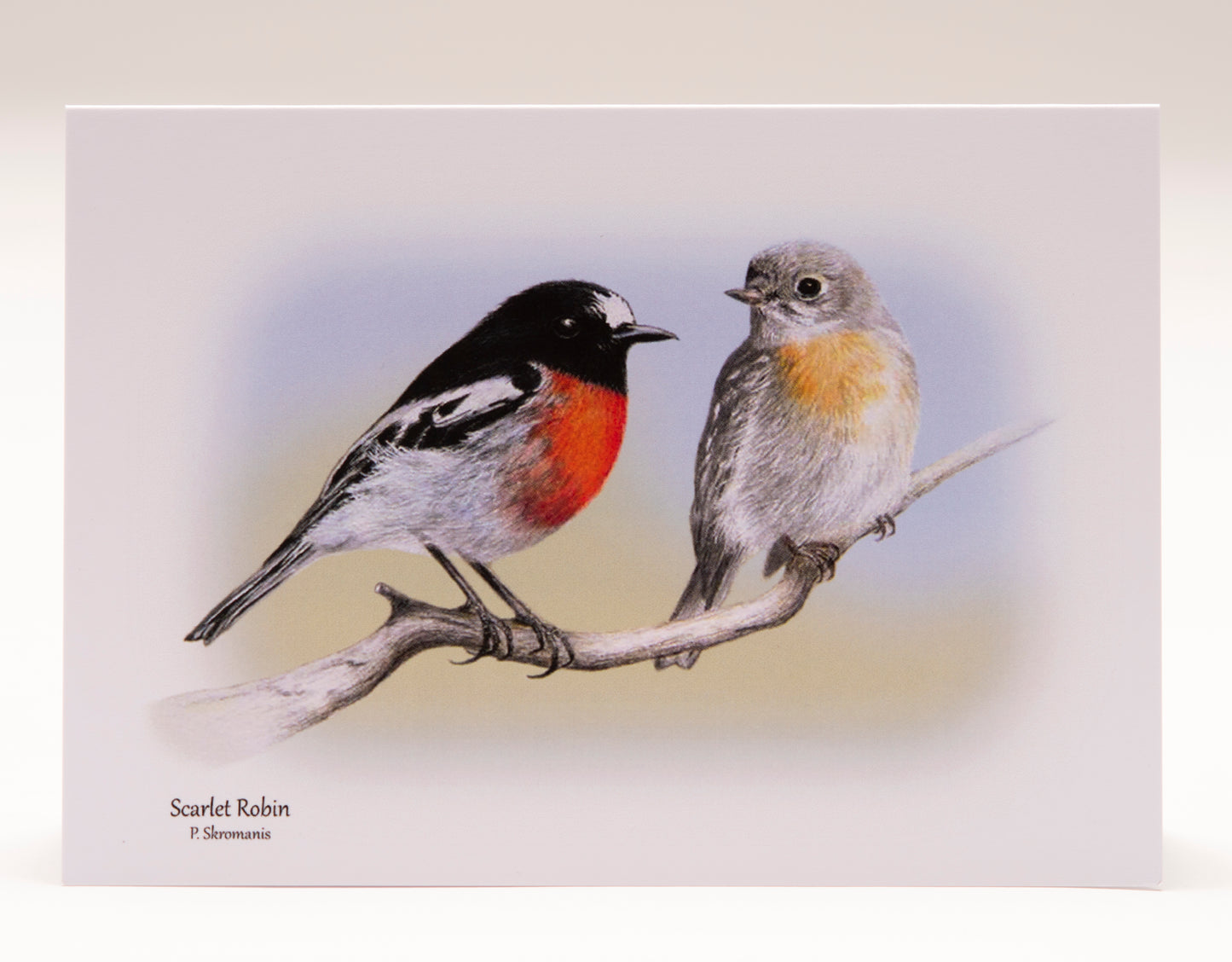 Greeting Card - Scarlet Robin Duo