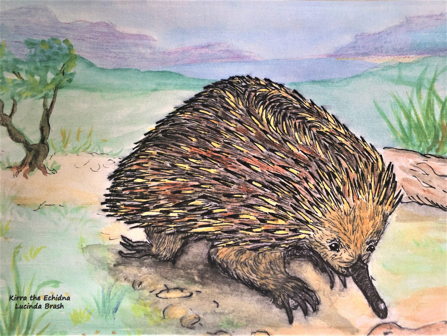 Tea Towel - Kirra the Echidna