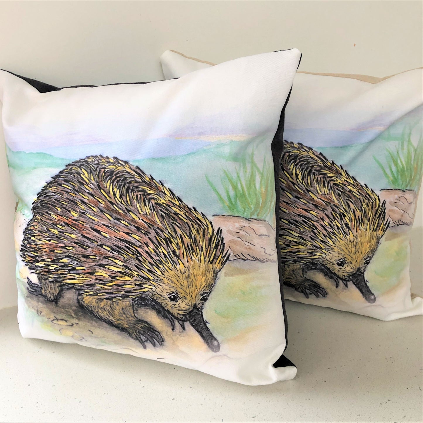 Cushion Cover - Kirra the Echidna