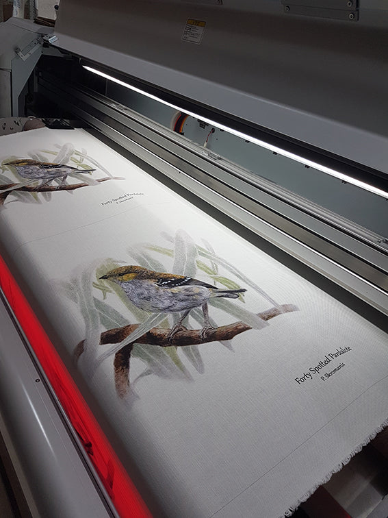 Tea Towel - Forty-Spotted Pardalote
