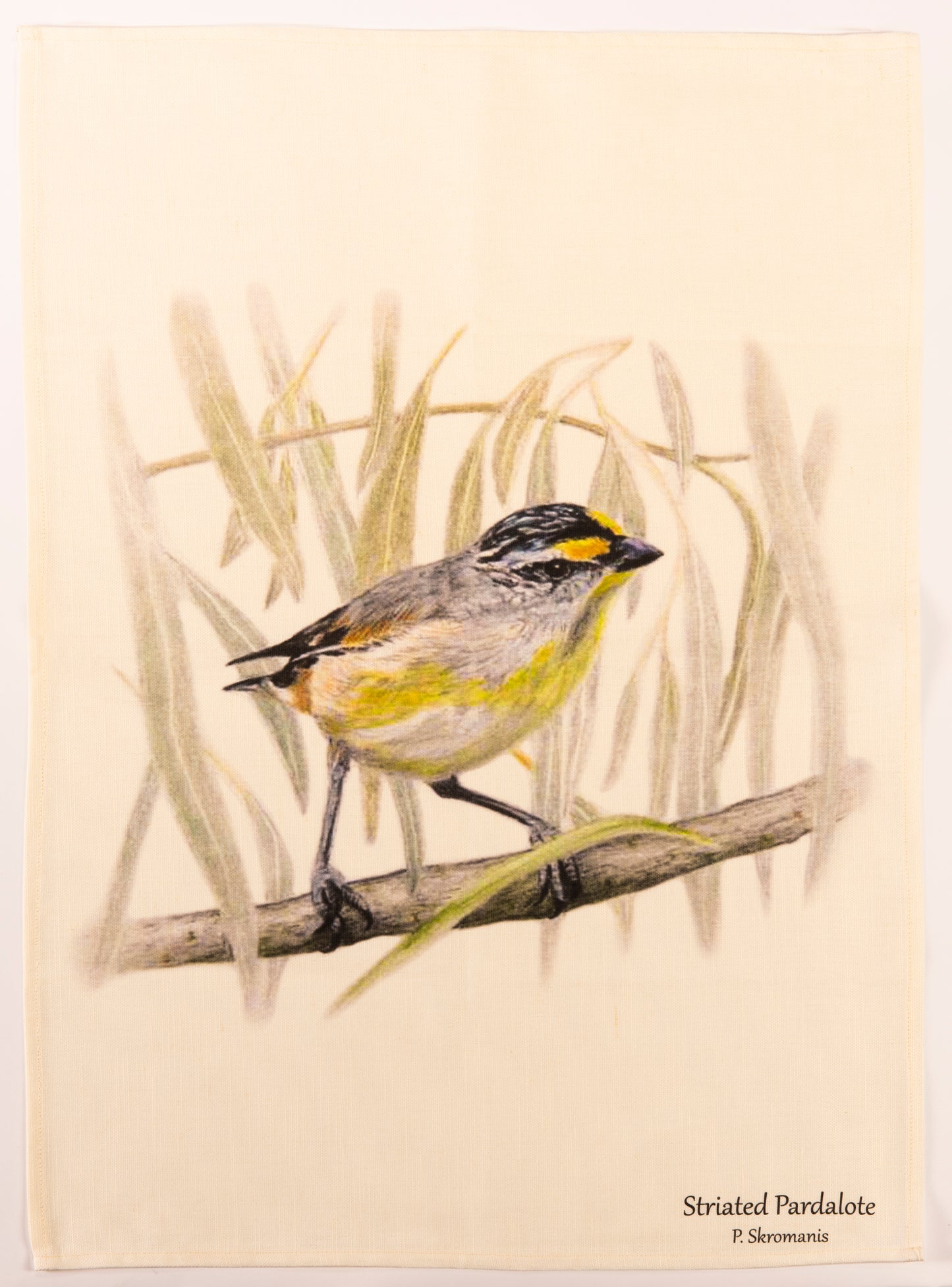 Tea Towel - Striated Pardalote
