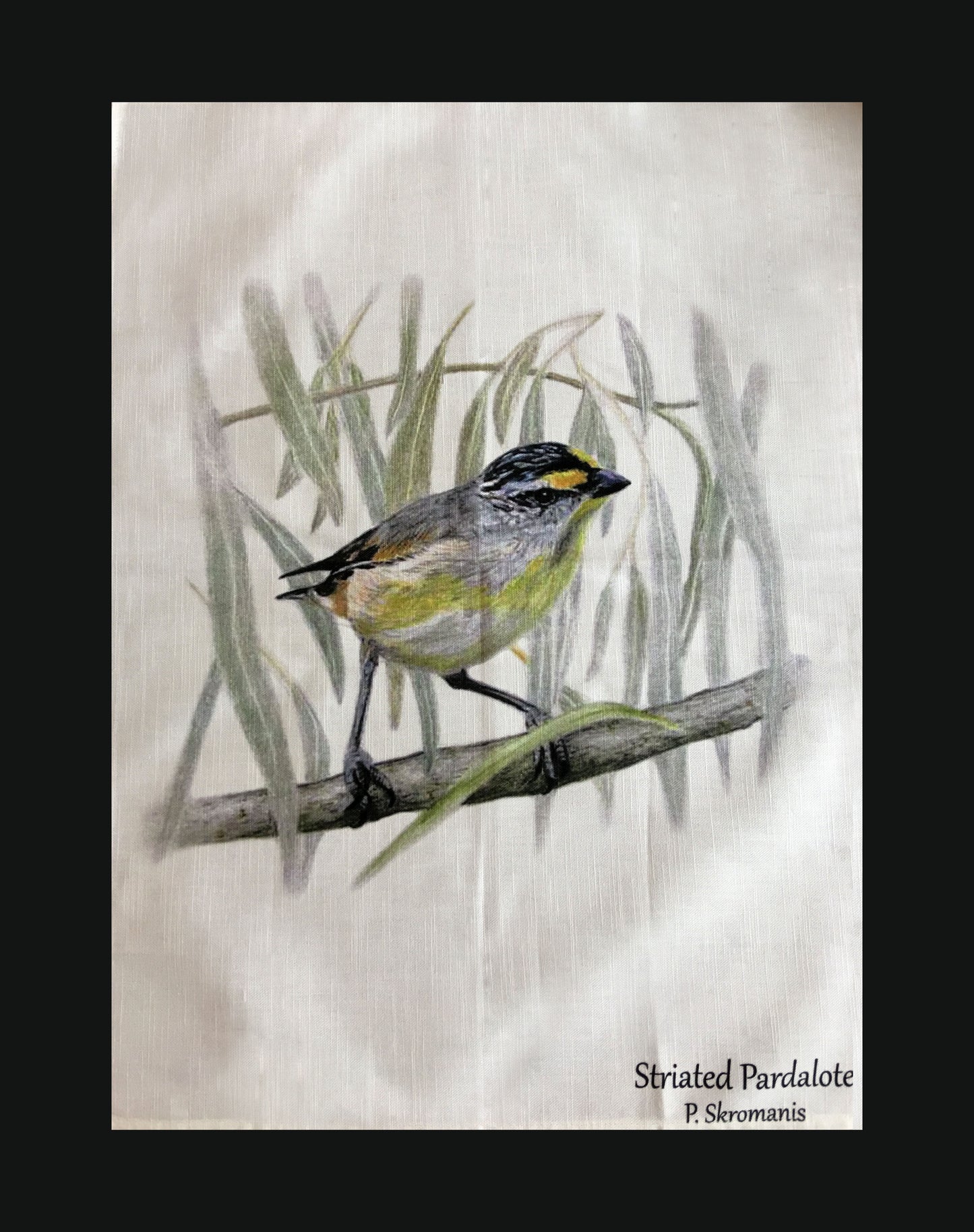Tea Towel - Striated Pardalote