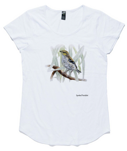 T-shirt - Forty-Spotted Pardalote